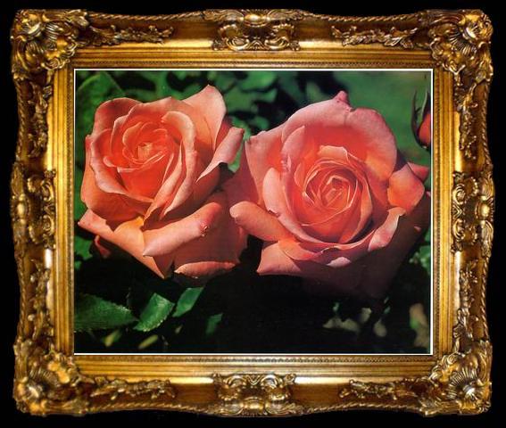 framed  unknow artist Still life floral, all kinds of reality flowers oil painting  395, ta009-2